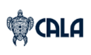 CALA Boards DE