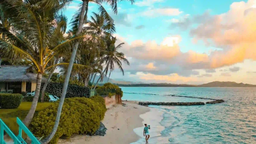 pexels-jess-loiterton-4784231-scaled